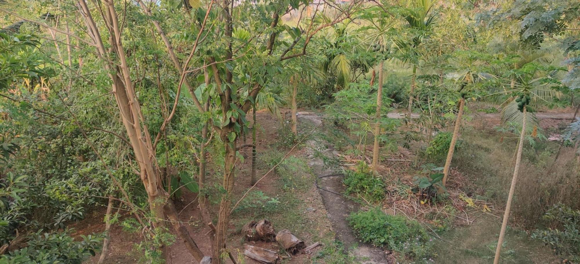 Gulmohar Cottages - Home Stay In Alībāg Ngoại thất bức ảnh